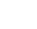 Pioneira